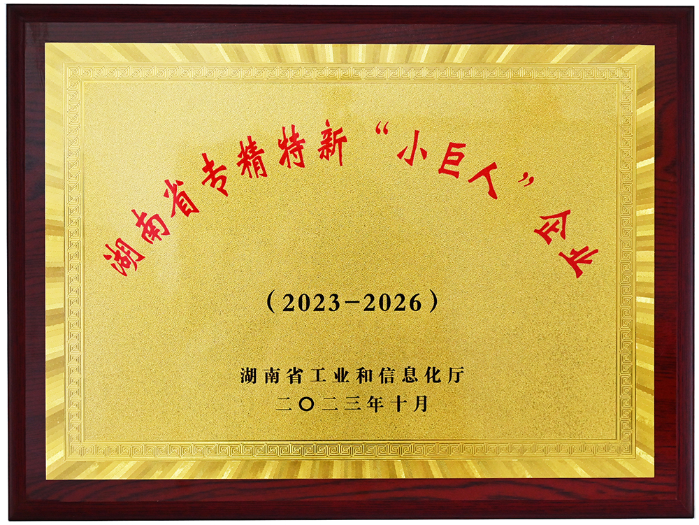 湖南省专精特新小巨人企业.jpg
